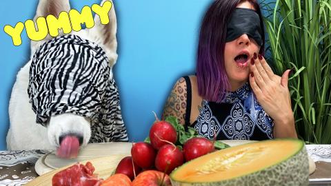 Blindfolded Food Taste Test with Mom! | Cute Husky steals...