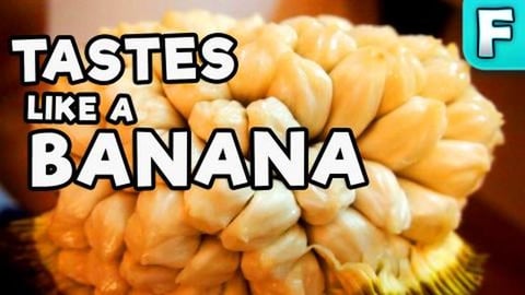 Marang | Fruits You've Never Heard Of