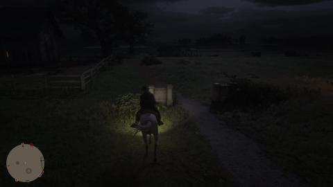 Red Dead Online Gameplay 6