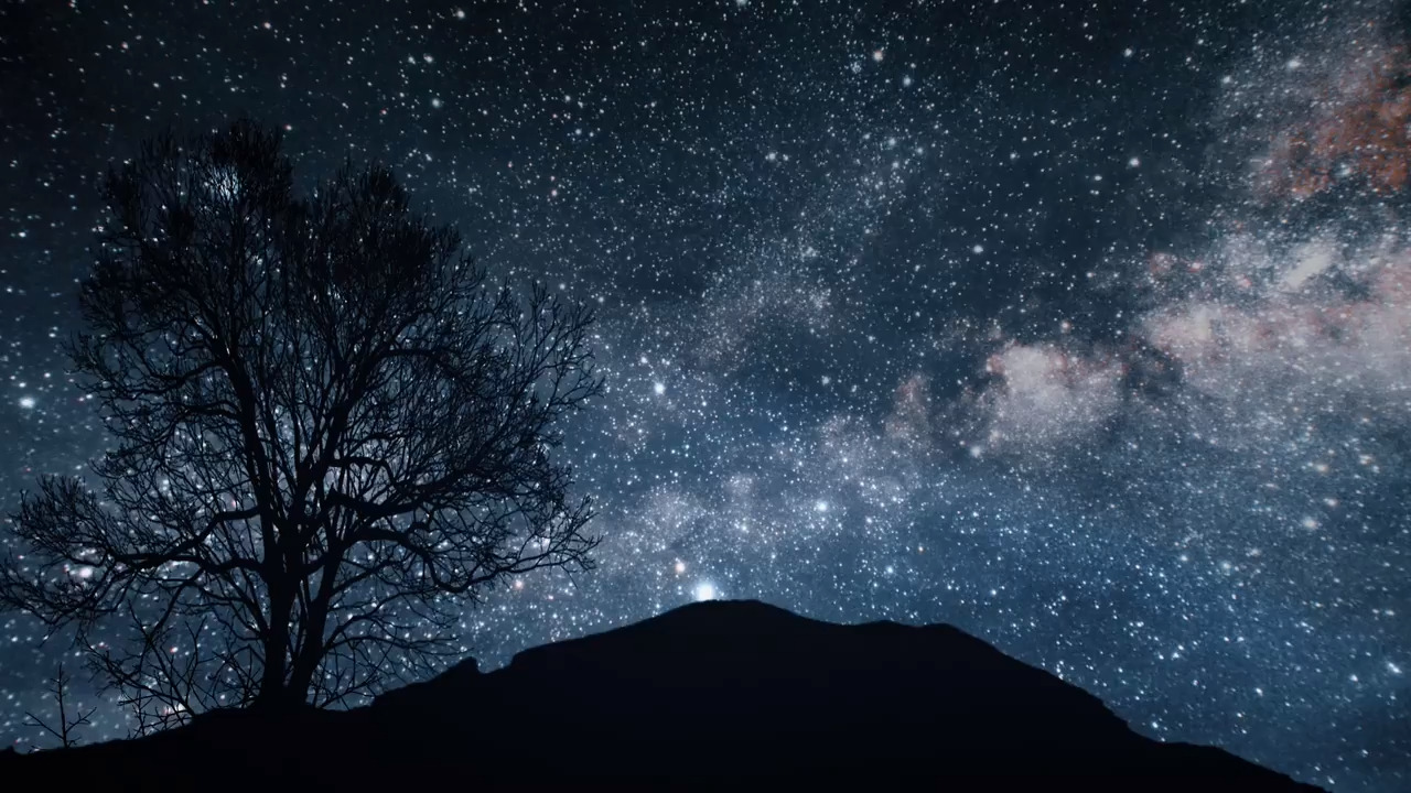 Clear skies for Alpha Monocerotids meteor shower in