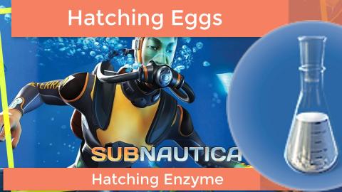 Subnautica How to make the hatching enzyme and Hatch the ...