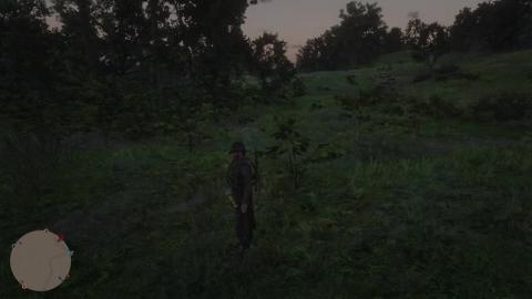 Red Dead Online...Just a.......