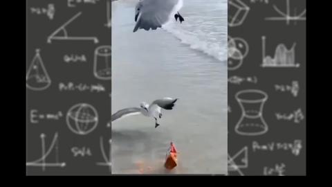 Fail and funny things compilation / Medium