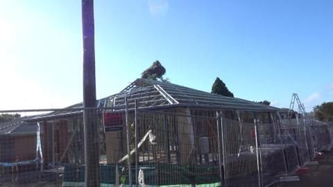 New build update & Golden Retreiver & Husky visit