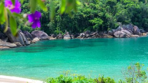 Relaxing song- CALMING NATURE 2026