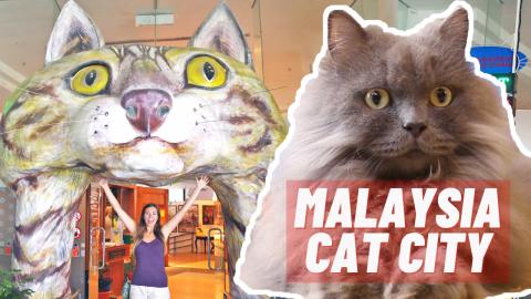 Cat City Kuching Malaysia! 