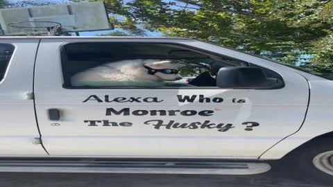 She Got Pulled Over!