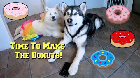Malamute & Husky Steal Phone To Search Google For Donut R...