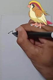 Drawing Pokemon PIDGEOT Shorts