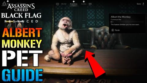 Assassins Creed_ Black Flag Resynced _Albert The Monkey_ ...