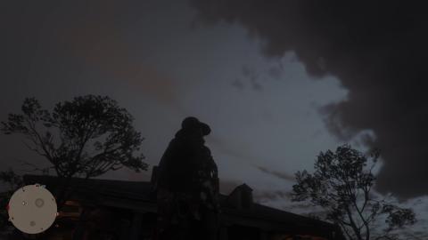 Red Dead Online Gameplay 8