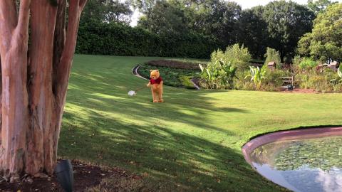 Epcot - Winnie the Pooh at Epcot interacting with guests ...