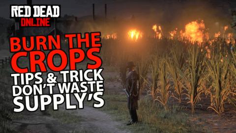 Burn The Crops Tips & Trick Don't Waste Supply's in Red D...