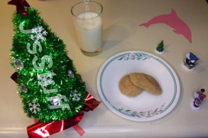 Low Carb, Keto, Gingersnap cookies recipe test