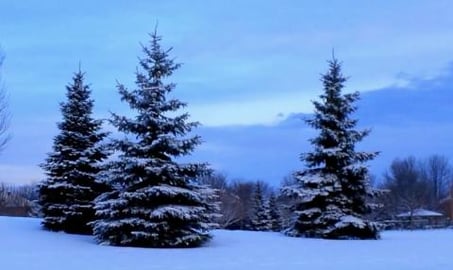 A Typical Winter Day in Ottawa Canada. Snow, Freezing Rai...