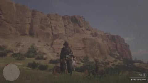 Easy Flower Glitch _Still Working_ in Red Dead Online