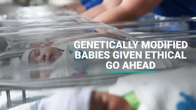 Modifyed Babies Genetically Modified Babies Given Ethical Go Ahead | HuffPost UK Parents