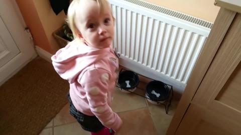 Cute Little Girl Preparing Food for Her Dog