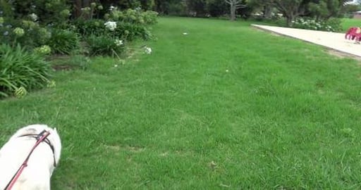 Shops are running out of food but I got most of my delive...