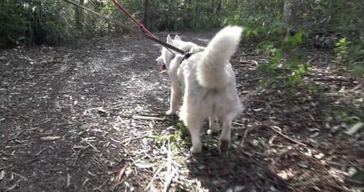 We're on top of the world through the Aussie bush