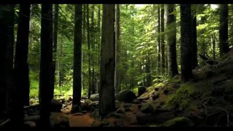 Nature's Serenity_ Captivating Landscapes with Relaxing M...