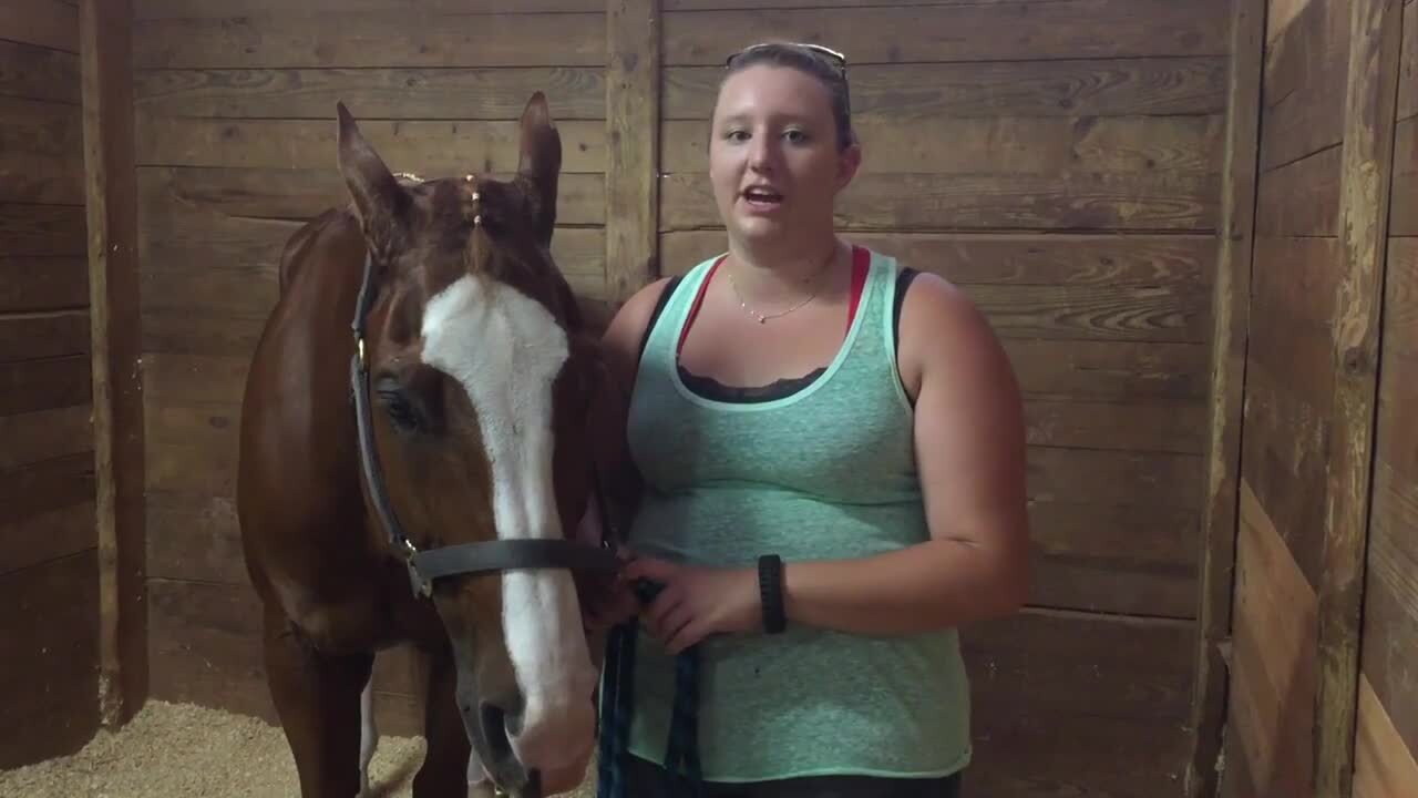 "No Bling" Quarter Horse Show Raleigh News & Observer