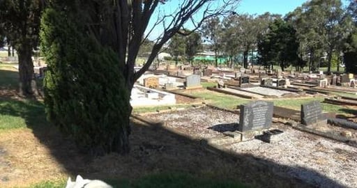 Visiting the departed at Drayton Cemetary