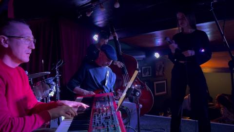 Daria Stefan - Blue Moon - Live