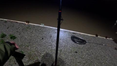 Fishing Clips 