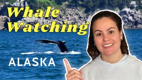 WHALE WATCHING ALASKA (Best Time And Place To See Whales ...