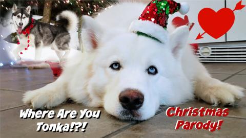 Where Are You Christmas | Tonka | Parody