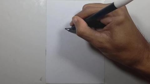Drawing raccoonn star wars
