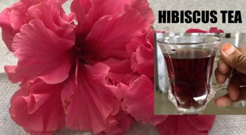 HIBISCUS TEA & BENEFITS || BY BB CHEF