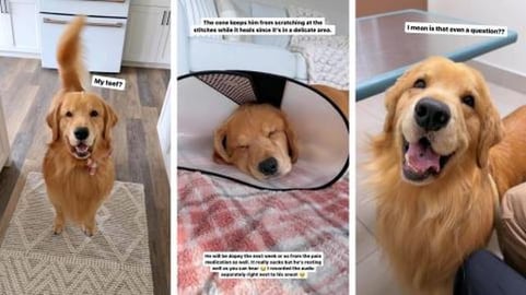 I Had to Have Surgery!