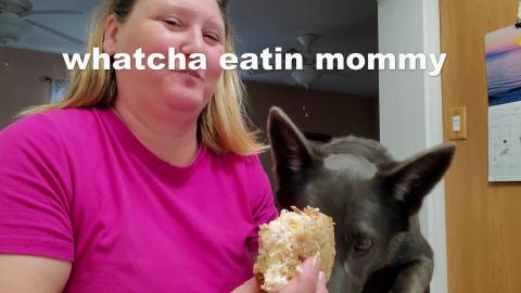 How To Eat A Sandwich With Woo