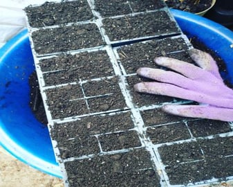 Mixing Soil For Planting Seeds - What Do I Add?: Kitchen ...