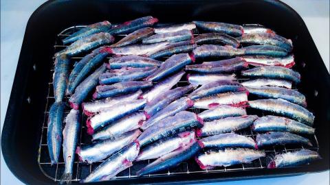Fish Powder