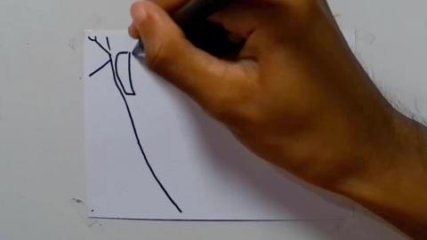 DRAW Isshiki Otsutsuki-Boruto 6 shorts