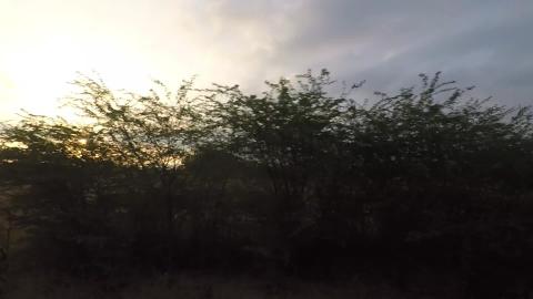 Dindigul To Kodaikanal Road By Train | Tamil Nadu