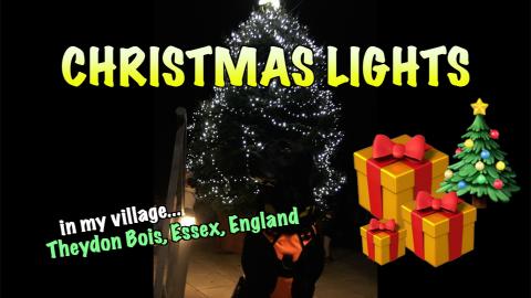 Percy the Labrador & The Theydon Bois Christmas Tree Ligh...