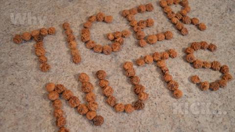 Tiger Nuts vs. Macadamia Nuts: What I Say About Food