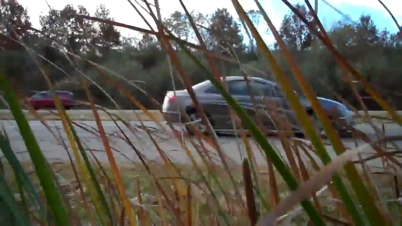 St. Louis metroeast IL weather, wind cause power outages Belleville