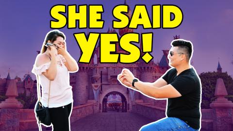 Epic Disneyland Proposal To My Girlfriend Of 8 Years