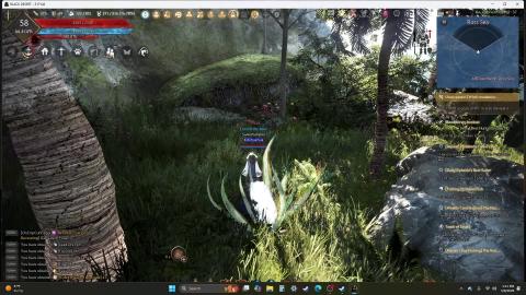 Black Desert Online : Bluffer Hump Tiger Mushroom Locatio...