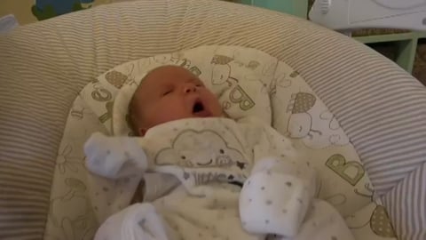 Training Dog to Babysitting our New Baby