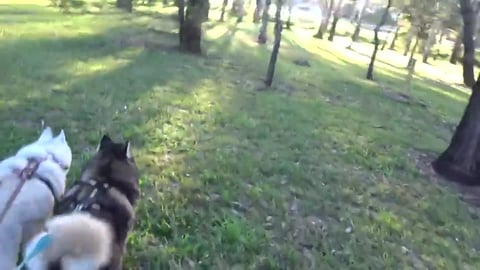 Looking for rubbish at East Creek