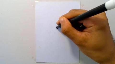 Drawing sausage graffiti with hot sauce shorts