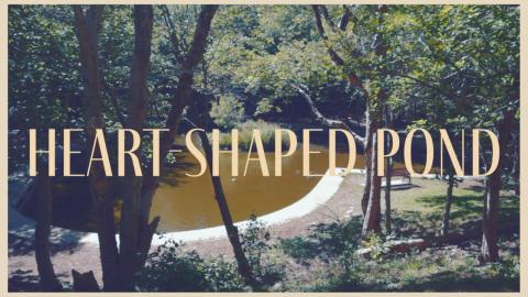 best hidden date spot | halifax, nova scotia