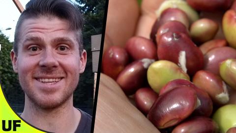 Bean that Tastes like Chicken! Black Soybeans Taste Test ...