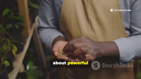 The Mustard Seed: Faith, Growth & the Kingdom of Heaven |...